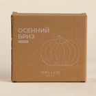 УЦЕНКА Тарелка SL Home «Осенний бриз», 16×14.5×3.3 см 10985566