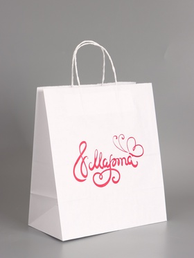 Пакет бумажный подарочный, « 8 марта Женский День! Бабочка», белый, 24?14?28 см (комплект 2 шт)