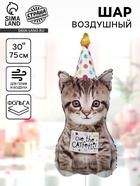Воздушный шар фольгированный 30" «Котёнок в колпачке» - фото 120956767