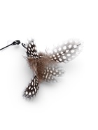 Дразнилка для кошек «Перо», 39 см - Фото 5