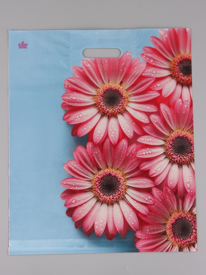 Пакет подарочный Герберы Шанис  45 х 38 см 55 мкм