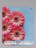 Пакет подарочный Герберы Шанис  45 х 38 см 55 мкм (комплект 50 шт) - фото 68182986