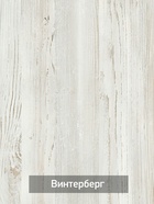 Комод для хранения «Некст – 1», 1040×500×1000 мм, цвет винтерберг/чёрный - Фото 6