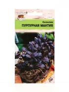 Семена Базилик ПУРПУРНАЯ МАНТИЯ  0,2 г. (комплект 3 шт) - фото 68183150