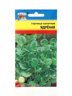 Семена Горчица салатная Ядрённая 0,5 г. (комплект 3 шт)