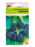 Семена Ежевика кустистая КУМАНИКА  0,05 г. - Фото 1
