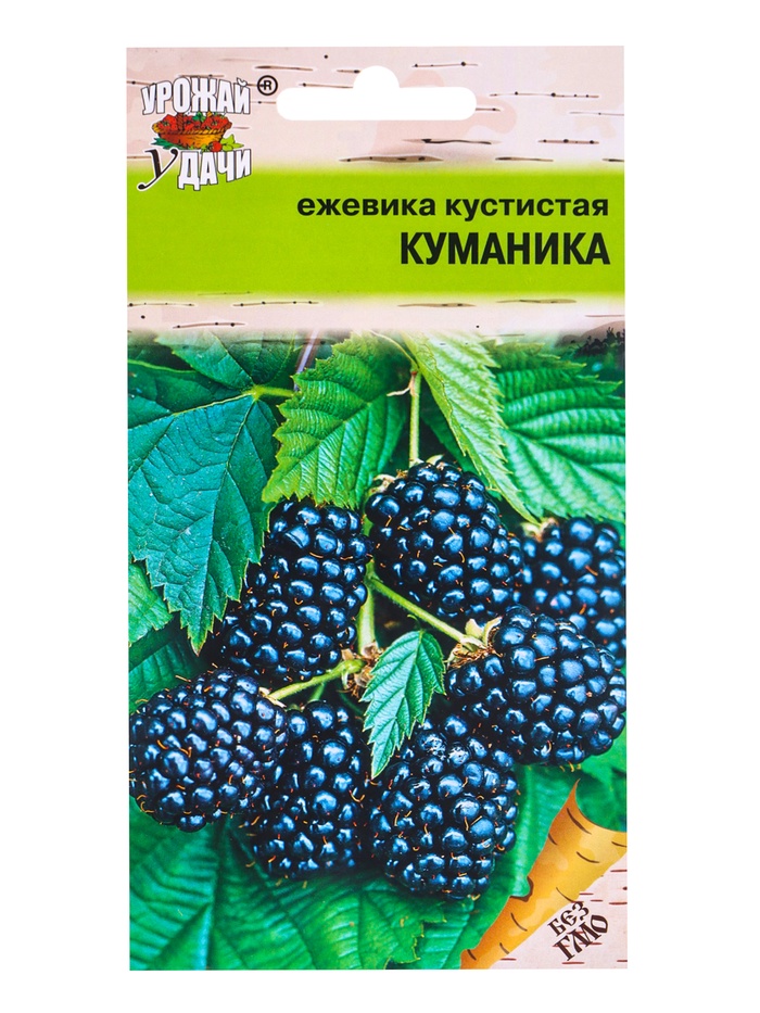 Семена Ежевика кустистая КУМАНИКА  0,05 г. - Фото 1