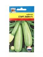 Семена Кабачок Старт Лайн F1 3 шт. - фото 809461748