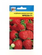 Семена Клубника ремонт.Фреска F1 5 шт. - фото 809461752