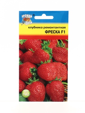 Семена Клубника ремонт.Фреска F1 5 шт.
