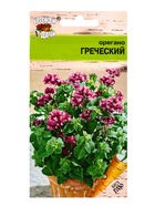 Семена Орегано Греческий 0,04 г. (комплект 3 шт) - фото 69480982