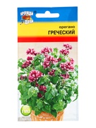 Семена Орегано «Греческий», 0.04 г, «УРОЖАЙ УДАЧИ» - Фото 3
