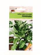 Семена Табак курит. ПОНЮШКА  0,02 г. (комплект 2 шт) - фото 68183165