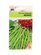 Семена Фасоль овощная ФЕНИКС  5 г. (комплект 2 шт) - фото 68183173