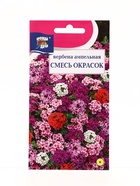 Семена цветов Вербена амп.Смесь окрасок 0,1 г. (комплект 3 шт) - фото 68183176