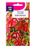 Семена Виноград девичий ВИРГИНИЯ 0,3 г.  (артикул 10974256)  большой выбор товаров оптом и в розницу по низким ценам с доставкой