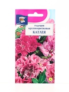 Семена цветов Годеция кр. Катлея 0,2 г. (комплект 3 шт) - фото 68183179