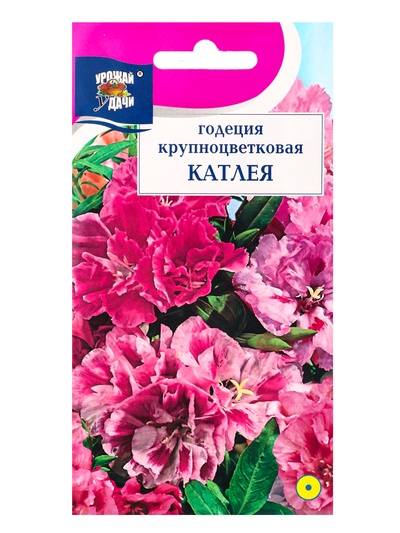 Семена цветов Годеция крупноцветковая «Катлея» 0.2 г