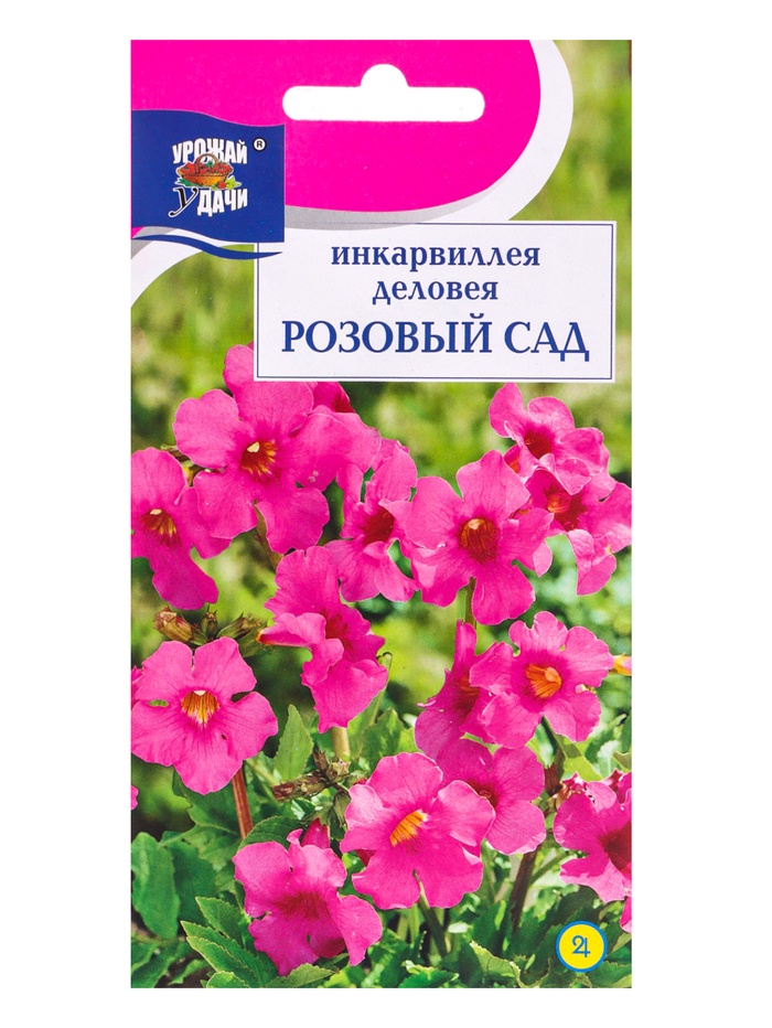 Семена цветов Инкарвиллея деловея Розовый сад 0,04 г. - Фото 1