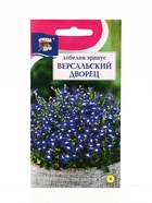 Семена цветов Лобелия низк. Версальский дворец  0,03 г. (комплект 3 шт) - фото 68183184