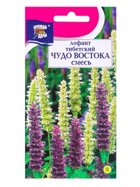 Семена цветов Лофант ЧУДО ВОСТОКА 0,1 г.