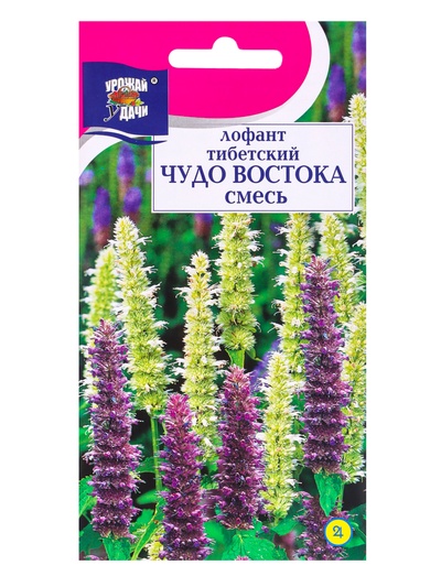 Семена цветов Лофант ЧУДО ВОСТОКА 0,1 г.