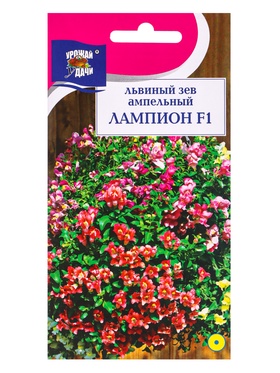 Семена цветов Львиный зев выс.амп. Лампион F1 5 шт.  (артикул 10974274)  большой выбор товаров оптом и в розницу по низким ценам с доставкой