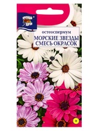 Семена цветов Остеоспермум МОРСКИЕ ЗВЁЗДЫ смесь  0,1 г.  (артикул 10974281)  большой выбор товаров оптом и в розницу по низким ценам с доставкой