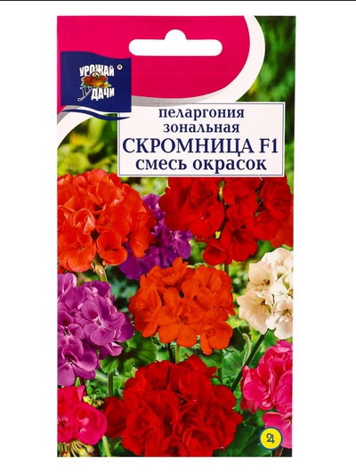 Семена цветов Пеларгония зональная «Скромница» F1, смесь 0.03 г