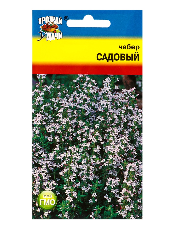 Семена Чабер Садовый 0,5 г. - Фото 1