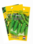 Набор семян Огурец самоопыляемых «Кураж», «Герман», «Маша», 3 пакета - фото 68976992