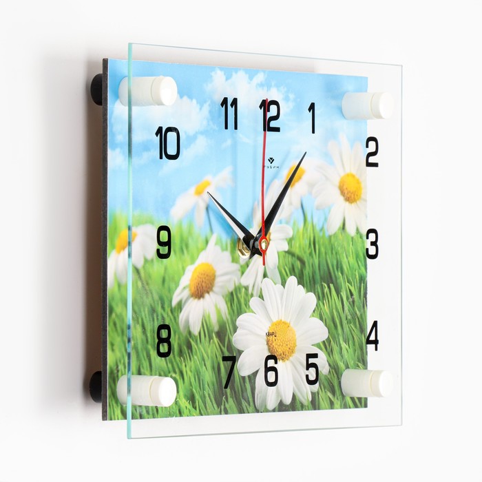 Часы настенные: Цветы, "Ромашки", бесшумные, 20 х 26 см - фото 1905343122