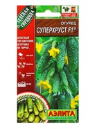 Семена Огурцов, раннеспелые, самоопыляемые, 10 пакетов, «АЭЛИТА» - Фото 11