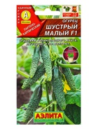 Семена Огурцов, раннеспелые, самоопыляемые, 10 пакетов, «АЭЛИТА» - Фото 15