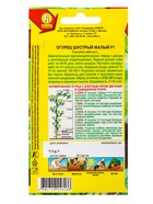 Набор семян Огурец, раннеспелые самоопыляемые - фото 68977014