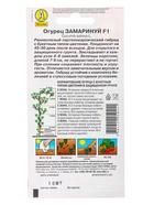 Семена Огурцов, раннеспелые, самоопыляемые, 10 пакетов, «АЭЛИТА» - Фото 18