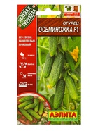 Семена Огурцов, раннеспелые, самоопыляемые, 10 пакетов, «АЭЛИТА» - Фото 21
