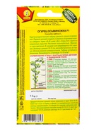 Набор семян Огурец, раннеспелые самоопыляемые - фото 68977020