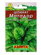 Набор семян Зелень - фото 68977023