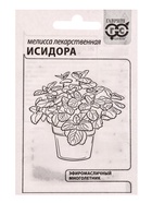 Набор семян Зелень пряная, 10 шт. - фото 68977055