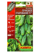 Набор семян Огурец пучковый, 10 сортов  (артикул 10947277)  большой выбор товаров оптом и в розницу по низким ценам с доставкой