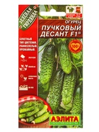 Набор семян Огурец пучковый, 10 сортов  (артикул 10947277)  большой выбор товаров оптом и в розницу по низким ценам с доставкой