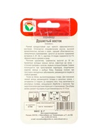 Набор семян Кориандр «Душистый Восток», 2 упаковки - фото 68977131