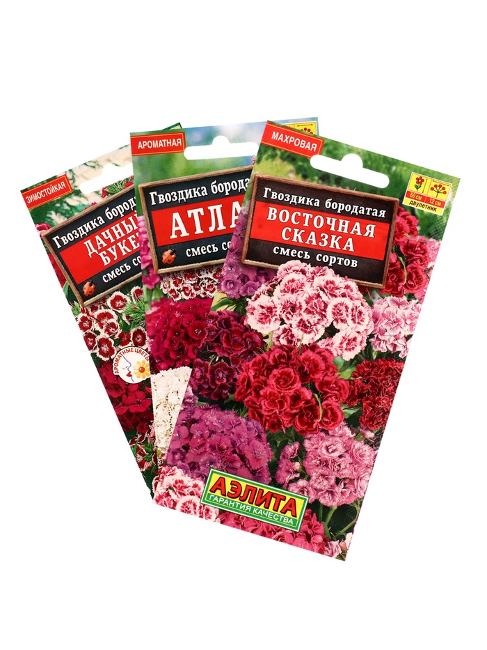 Набор семян цветов Гвоздика турецкая многолетняя