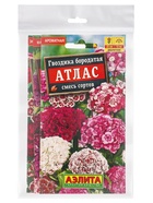 Набор Семена цветов Гвоздика турецкая многолетняя (238758319) ВБ - фото 809461952