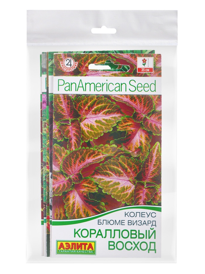 Набор семян цветов Колеус - Фото 1