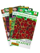 Набор семян цветов Колеус - фото 68977233