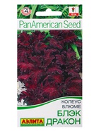 Набор семян цветов Колеус - фото 68977236