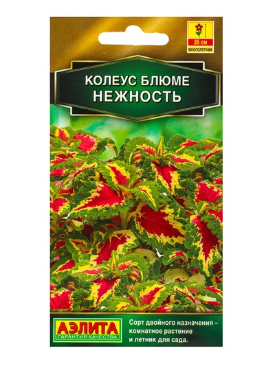 Набор семян цветов Колеус, 5 пакетов