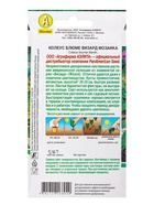 Набор семян цветов Колеус - фото 68977241